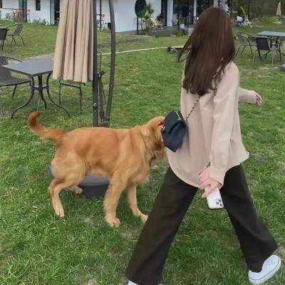 现在和永远
